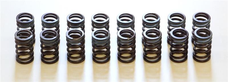 HKS 91-00 Infiniti G20 SR20DET Outer Valve Spring Set - 22001-AN002