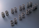 Tomei - Valve Springs : CA18DET (TA304A-NS11A)