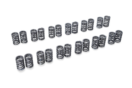 TOMEI - 1989-2002 NISSAN BNR32 / BCNR33 / BNR34 Skyline GT-R RB26DETT Valve Spring Set Type A(TA304A-NS05A)