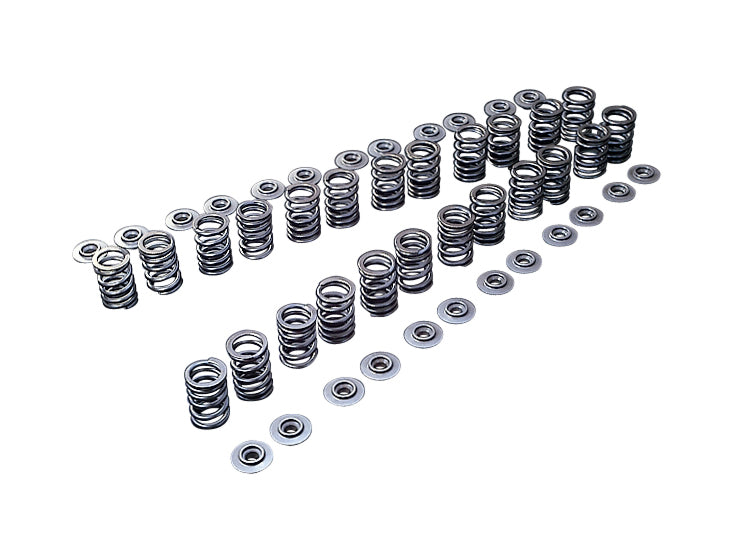 TOMEI - 1989-2002 NISSAN BNR32 / BCNR33 / BNR34 Skyline GT-R RB26DETT Valve Spring Set Type B(TA304A-NS05B)